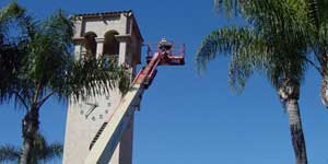 Bee Removal Temecula CA Difficult bee removal using a 
      manlift.