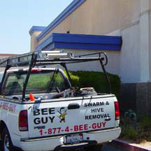 Menifee Bee Removal Guys Service Truck